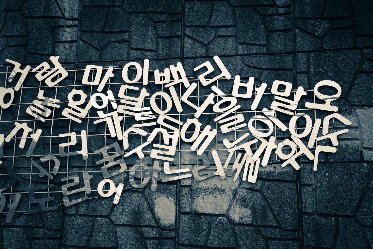 هان كانغ والموجة الكورية: كيف تستفيد كوريا من الـHallyu لنشر أدبها عالميًا